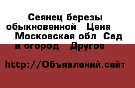 Сеянец березы обыкновенной › Цена ­ 4 - Московская обл. Сад и огород » Другое   